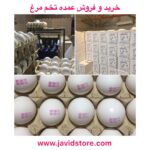فروش تخم مرغ جاویداستور(شکراللهی)
