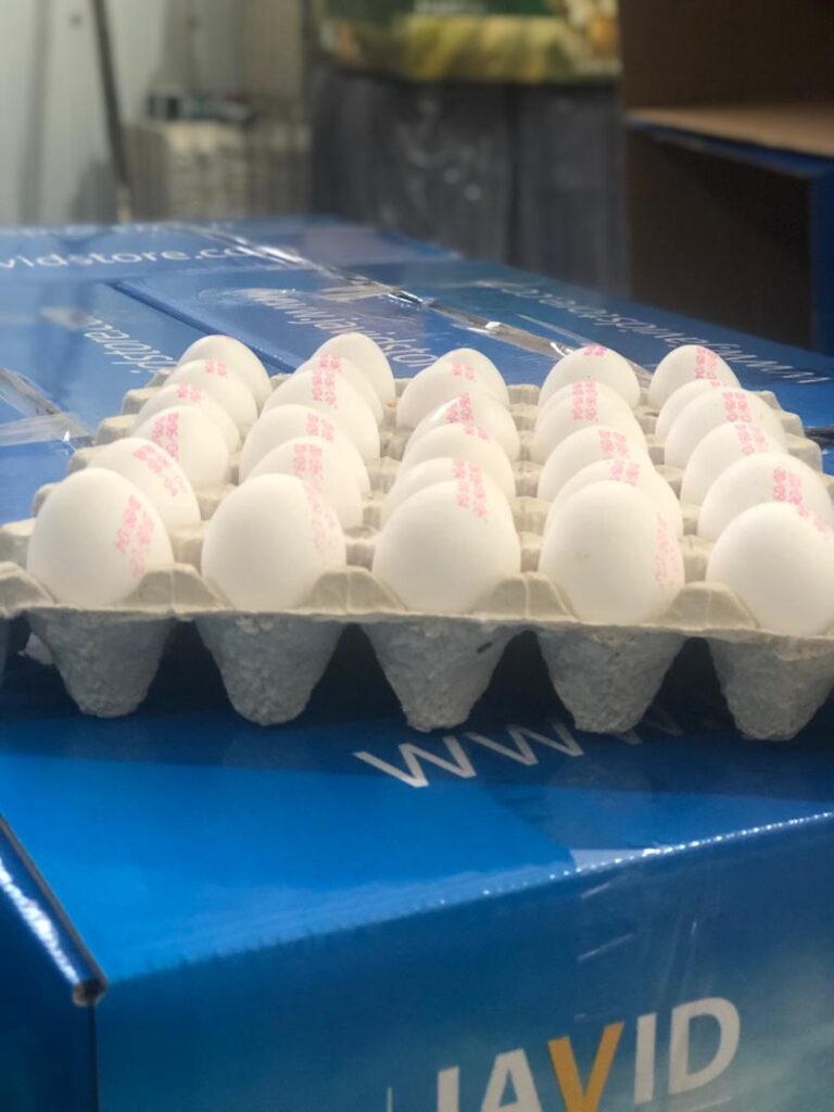 تخم مرغ صادراتی
