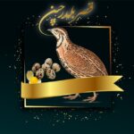 پروش بلدرچین صنعتی