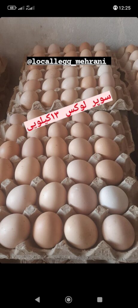 فروشنده تخم مرغ محلی