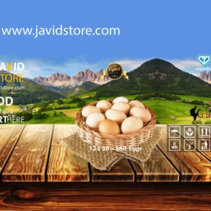 تخم مرغ صادراتی جاویداستور