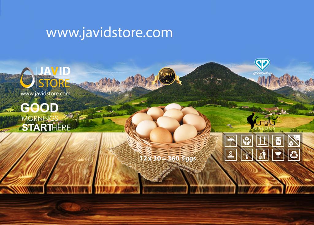 تخم مرغ صادراتی جاویداستور