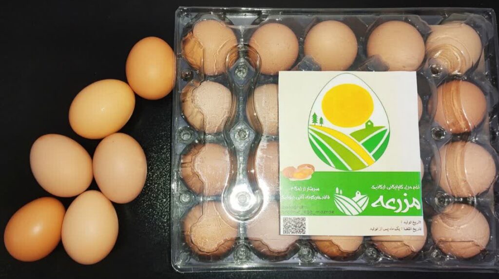 تخم مرغ محلی گلپایگانی