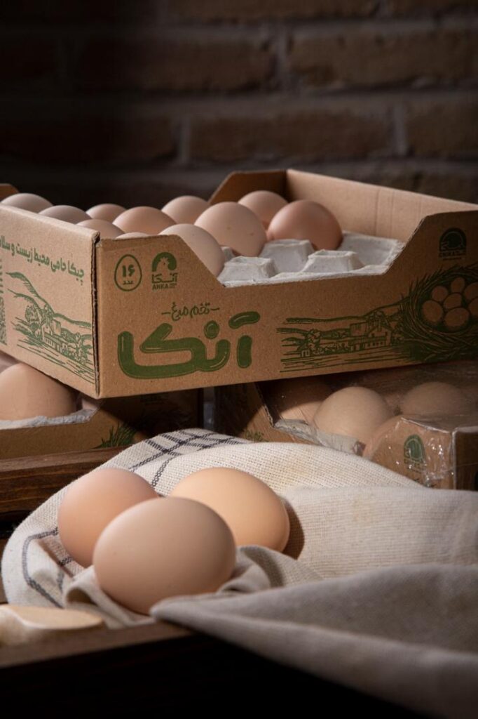 صادرات تخم مرغ پوست قهوه ای
