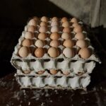 فروش تخم مرغ محلی (رسمی)