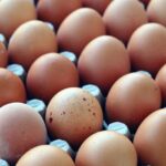 تخم مرغ محلی گلپایگان (رسمی-بومی)