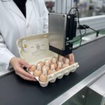 تخم مرغ محلی ارگانیک عمده
