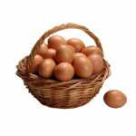 فروش تخم مرغ محلی
