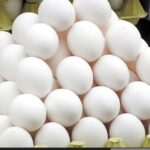 فروش تخم مرغ ب صورت عمده